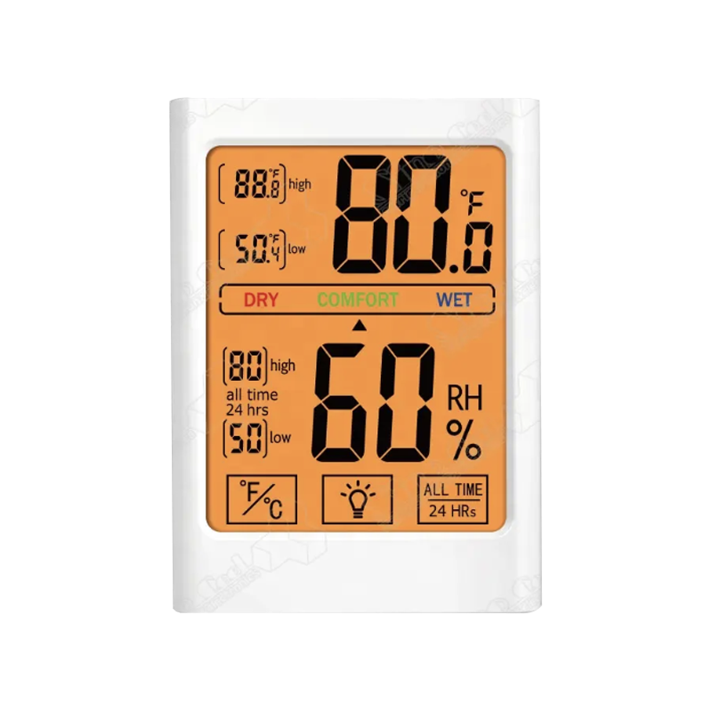 Thermometer LCD