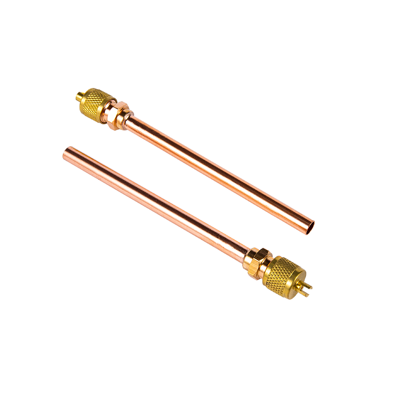 Injap akses Injap akses